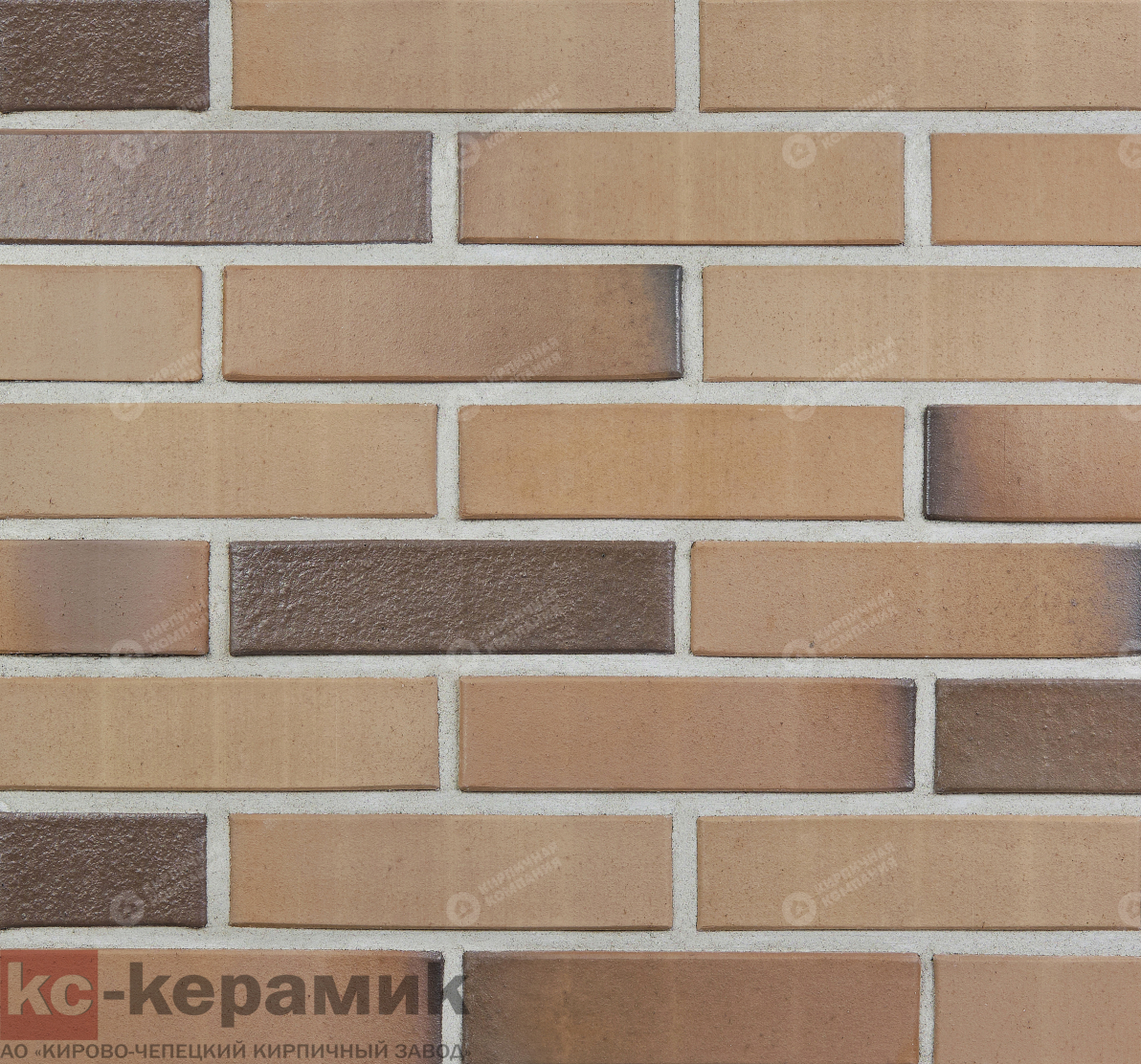 РОЧЕСТЕР ГЛАДКИЙ 1НФ полнотелый