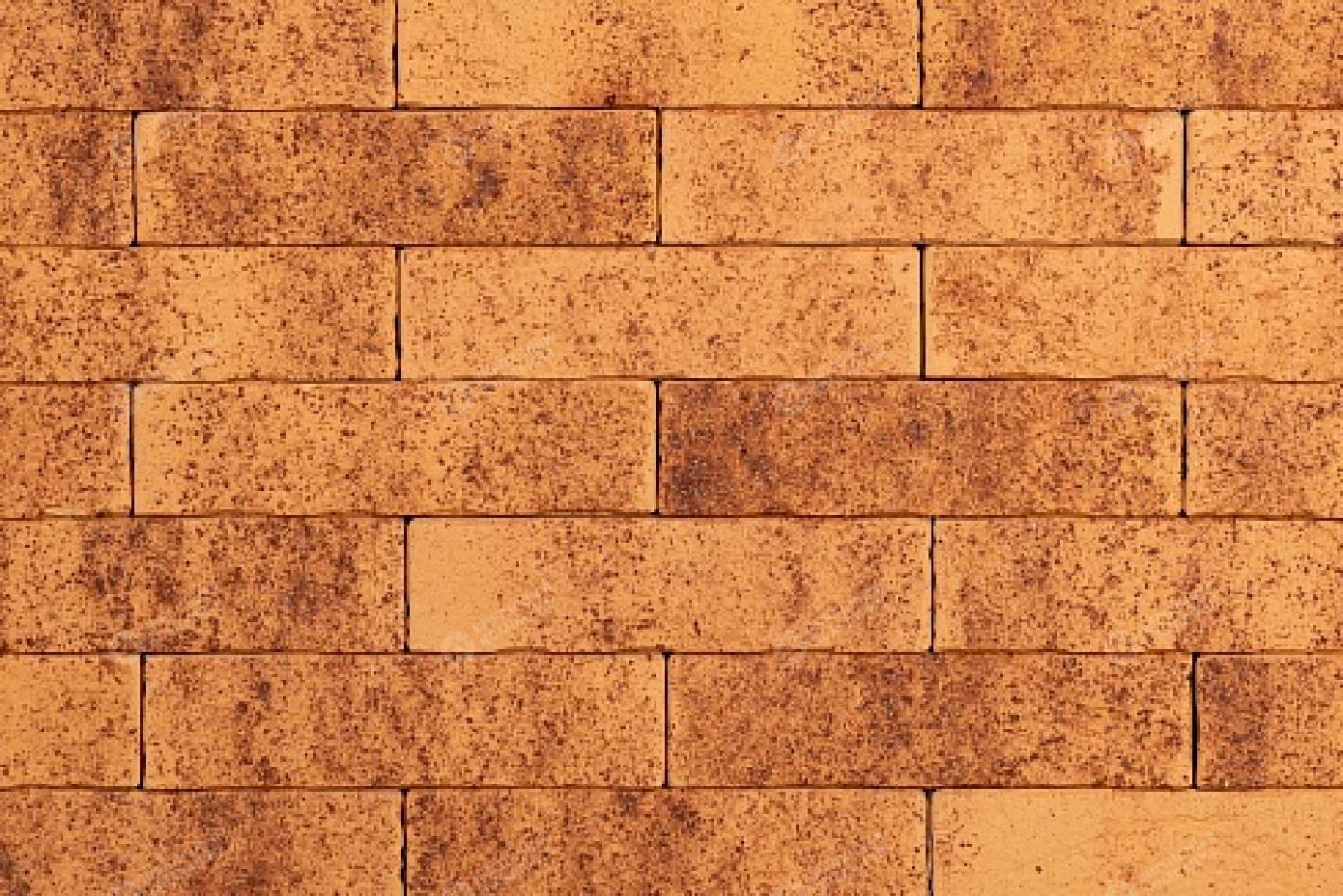 ТАЙГА СКАЛА МОРОШКА 0,7НФ пустотелый