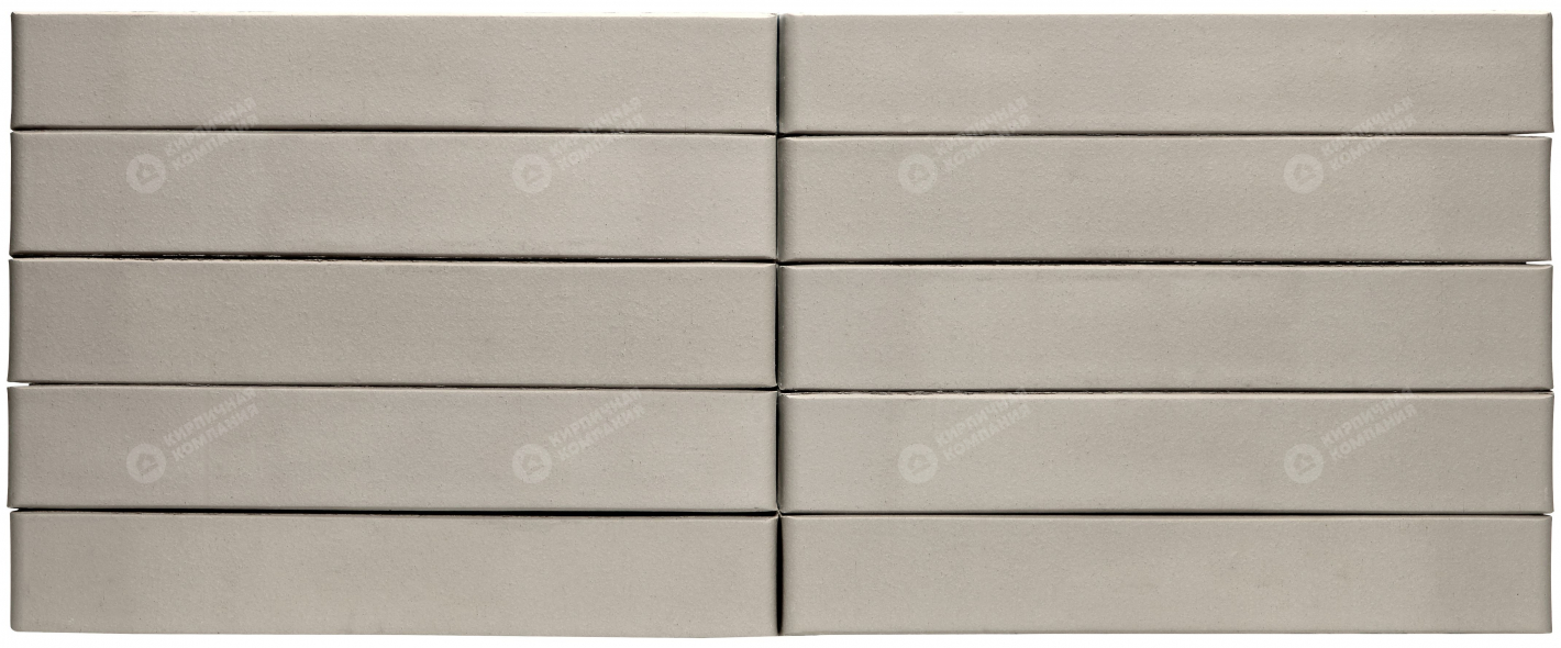 Серый Ригельный пустотелый