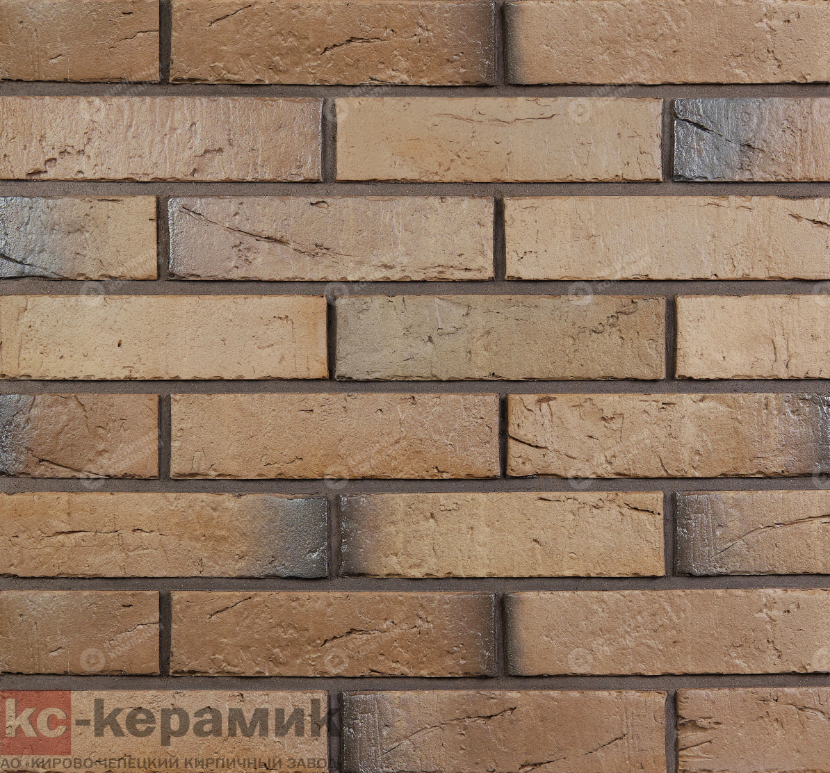 РОЧЕСТЕР 1НФ полнотелый