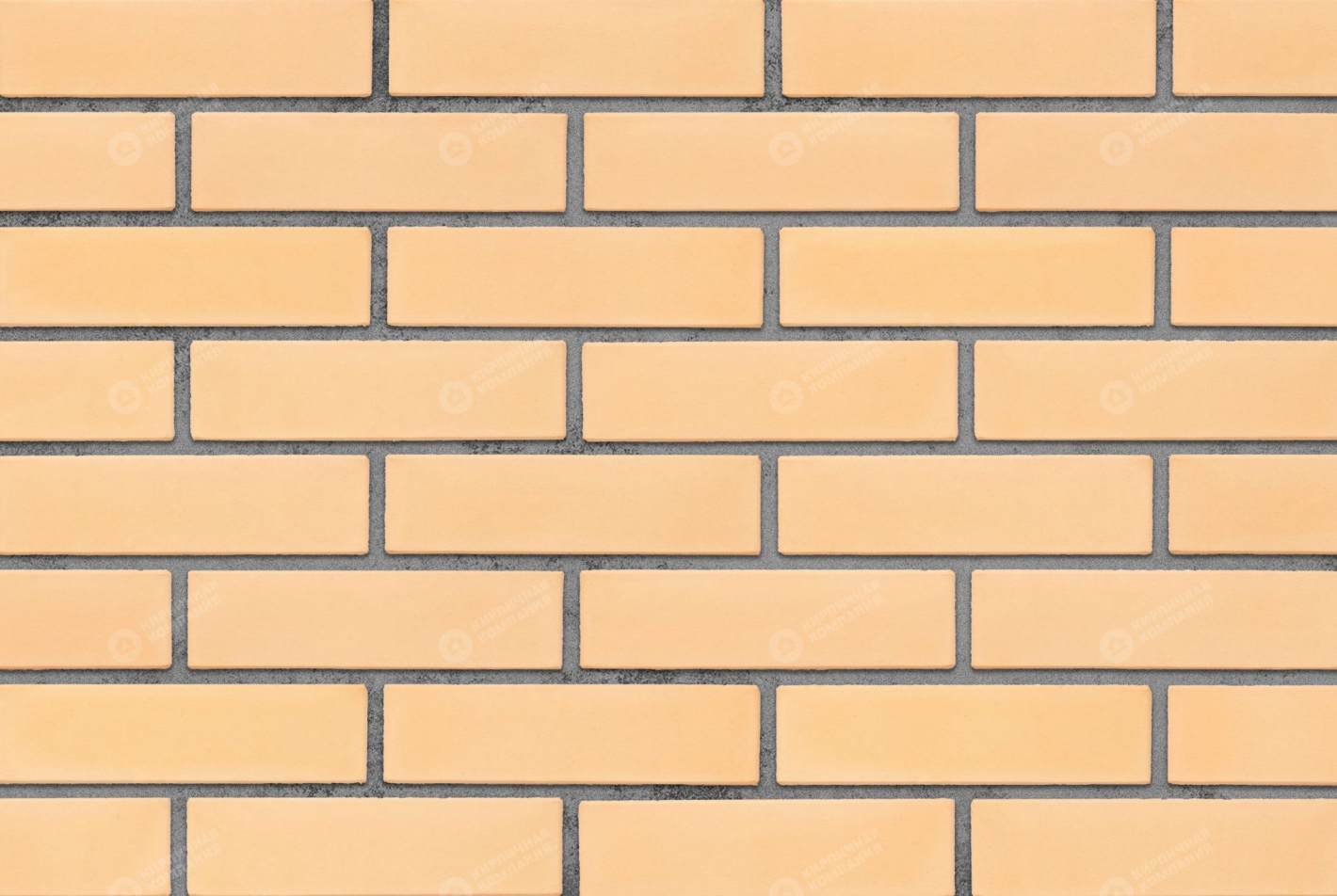 ВАНИЛЬ 1НФ пустотелый